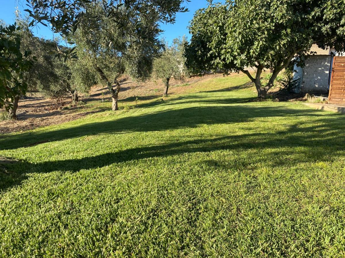 הוילה Santa Luzia  Monte Da Alameda - Piscina Aquecida מראה חיצוני תמונה